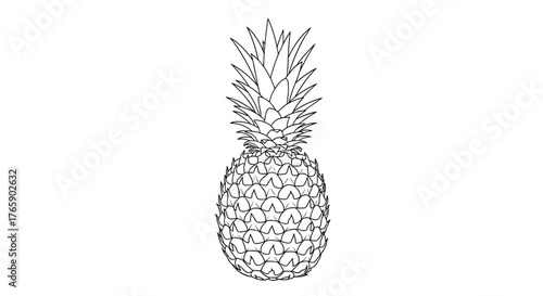 Detailed line art illustration of a tropical pineapple fruit.