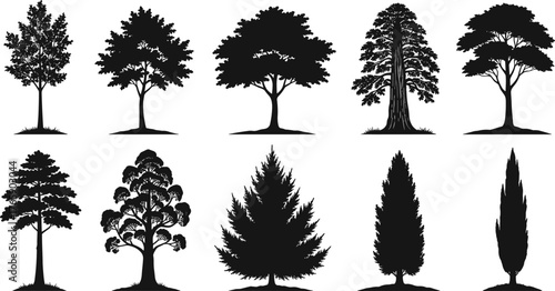 Collection of various tree silhouettes, pine cedar oak and cypress trees, black vector illustration, natural forest shapes, eco landscape art
