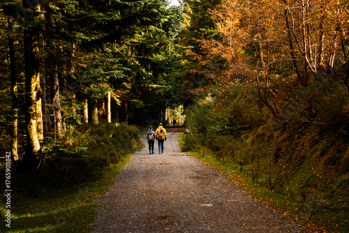 Couple hiking along peaceful woodland trail in Ticknock Forest during fall season with golden leaves and sunlight