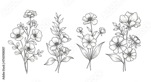 Vector illustration of a delicate collection of handdrawn floral illustrations featuring various blooming flowers and leaves, presented in a sketch style on a clean
