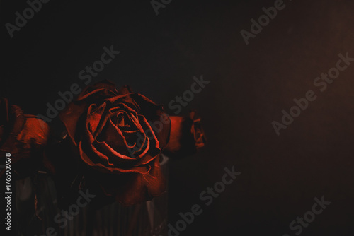 Dried red rose symbolizing love, grief, and sadness