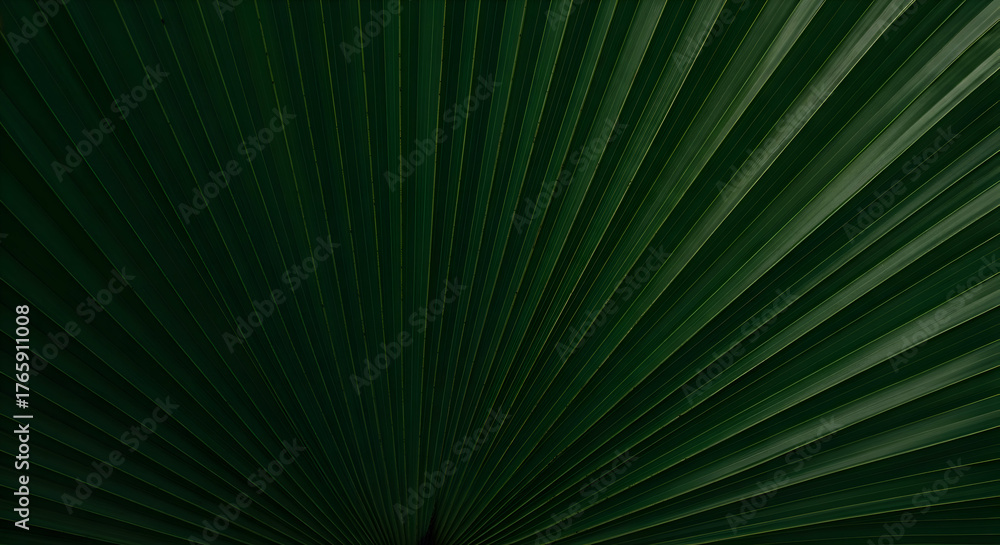 Obraz premium Deep emerald palm leaf texture offers a stunning natural pattern for vibrant, organic backgrounds and serene, refreshing designs.