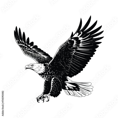 Eagle flying vector illustration in the sky with wings spread symbolizing freedom and wildlife