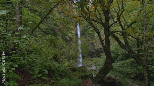 秋の阿弥陀ヶ滝（岐阜県郡上市白鳥町）
白山信仰の行者が身を清めた神聖な滝