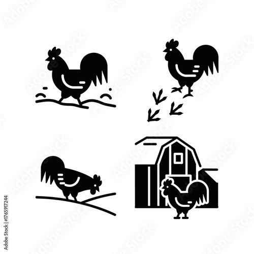 Rooster walking and leaving tracks in snow, rural farm life and winter agriculture