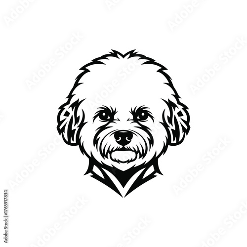 Cuadro en lienzo Black and white graphic illustration of a bichon frise dog face
