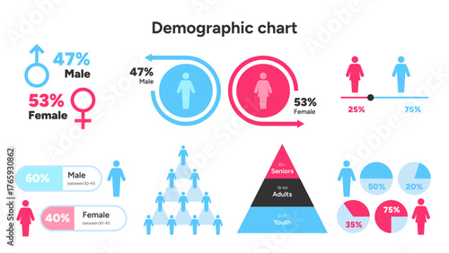 Gender and Age Demographic Analysis Vector Chart