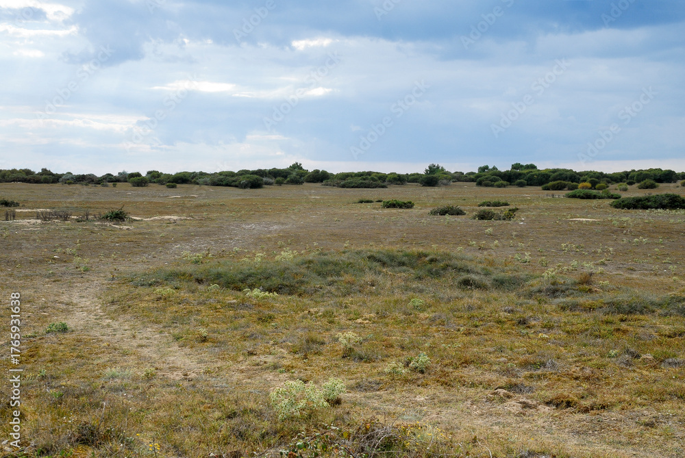 Obraz premium -56--44647.JPG