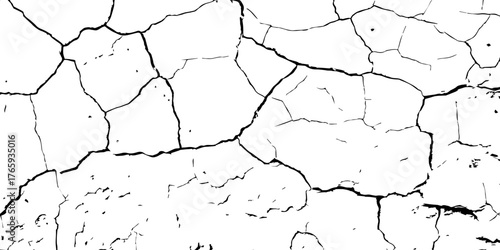 
An abstract cracked texture, showcasing deep, irregular black lines spreading across a white background. The fragmented pattern resembles dry mud or broken stone, symbolizing fragility, 