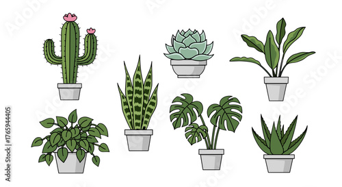 Illustration of seven different potted plants including cactus, succulent, and monstera deliciosa