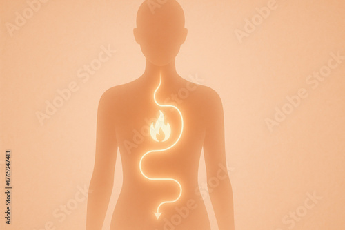 Natural glp-1 supplement healthy weight loss wellness concept glowing digestive tract illustration showing stomach fire and downward pathway implying metabolism and appetite control