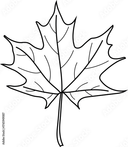 Coloring page with leaf of Norway maple or Acer platanoides isolated on white background