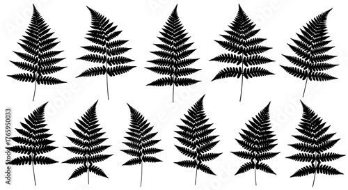 Elegant black fern leaf silhouettes create a natural, organic pattern perfect for decorative designs and botanical themes.