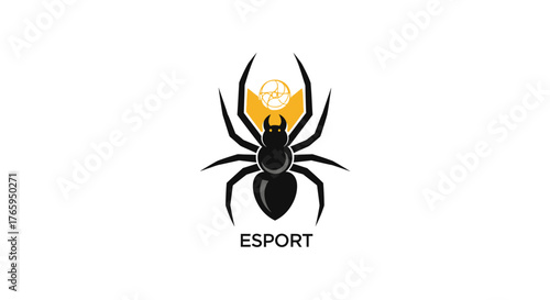vector illustration of a spider