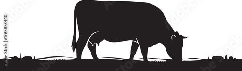 Silhouette of a single cow grazing peacefully in a grassy field at sunset
