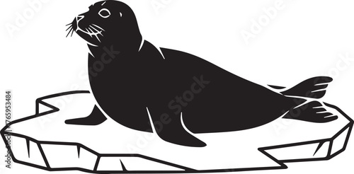 Cute black seal resting on a block of ice in the arctic wildlife