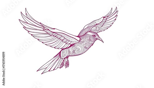 Intricate line art drawing of a stylized bird in flight, bird, feather