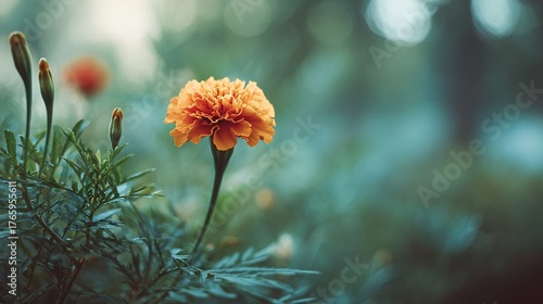   A solitary orange blossom rests atop a verdant canopy of leaves in a dense, colorful woodland