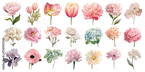 Collection of delicate watercolor floral illustrations in soft pastel colors on a neutral background