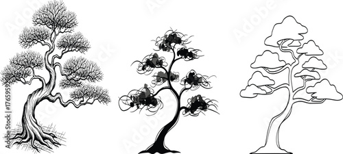 Bonsai tree illustrations, elegant nature art, Japanese style drawing, hand drawn forest design, black and white botanical sketch, minimal tree artwork