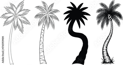 Palm tree silhouettes, tropical coconut trees, summer beach vibe, black and white palm designs, nature art illustration, vacation tropical concept