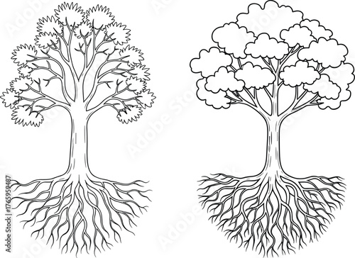 Tree of life roots, nature growth, hand drawn illustration, black and white sacred tree, detailed balance design, organic earth art