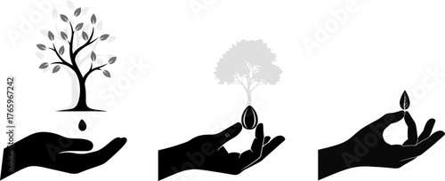 Illustration depicting the lifecycle of a plant from seed to mature tree emphasizing growth and human interaction with nature s processes