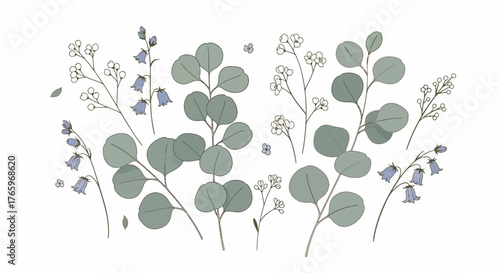 Vector image of eucalyptus branches and bellflowers with a delicate, hand-drawn style and soft color palette