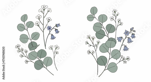 Delicate Floral Arrangements Vector Eucalyptus and Bluebell Twigs in Hand-Drawn Style