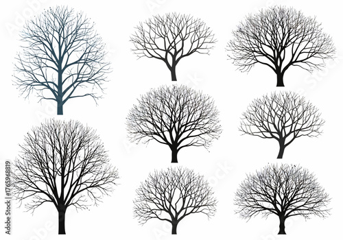 Set of bare trees vector illustrations collection for design and decoration