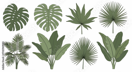 Tropical Leaves Vector Collection A Set of Exotic Plants for Graphic Design