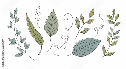 Elegant vector illustration of sketched leaves and branches in a botanical art style, perfect for nature-inspired designs