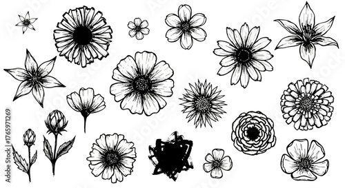 Collection of Various Hand-Drawn Floral Illustrations for Decorative and Artistic Applications