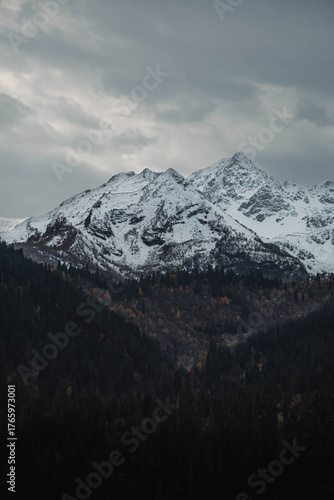 Mountains and forests, beautiful natural landscapes. Dombai and Arkhyz