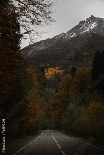Mountains and forests, beautiful natural landscapes. Dombai and Arkhyz