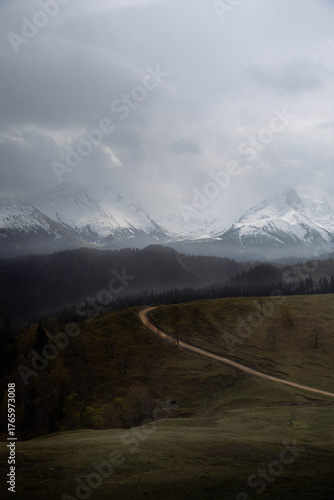 Mountains and forests, beautiful natural landscapes. Dombai and Arkhyz