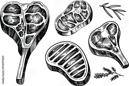Raw Steak Meat Cuts BBQ Grill Butcher Food Illustration.