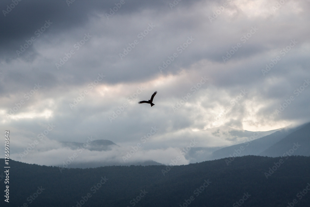 Obraz premium Misty morning at a mountain lake with reflections, soft light, and calm atmosphere