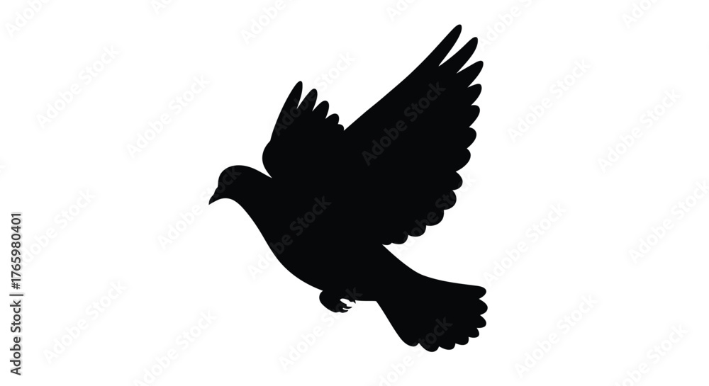 Obraz premium A silhouette of a bird in flight wings outstretched and soaring