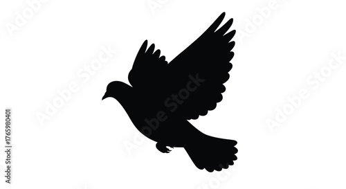 A silhouette of a bird in flight wings outstretched and soaring
