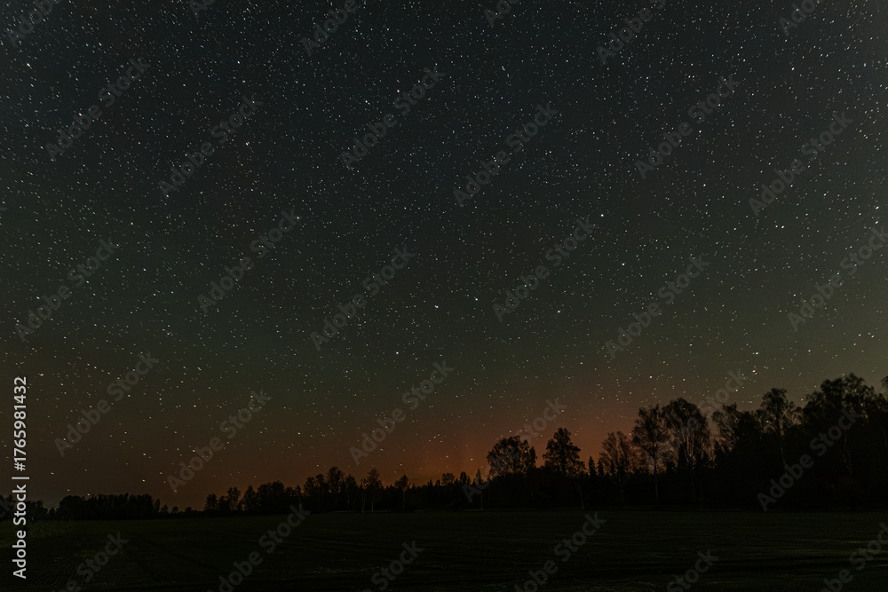 Fototapeta premium Silhouette of pine trees under a starry night sky with a faint orange glow on the horizon, capturing the calm beauty of nature after sunset.