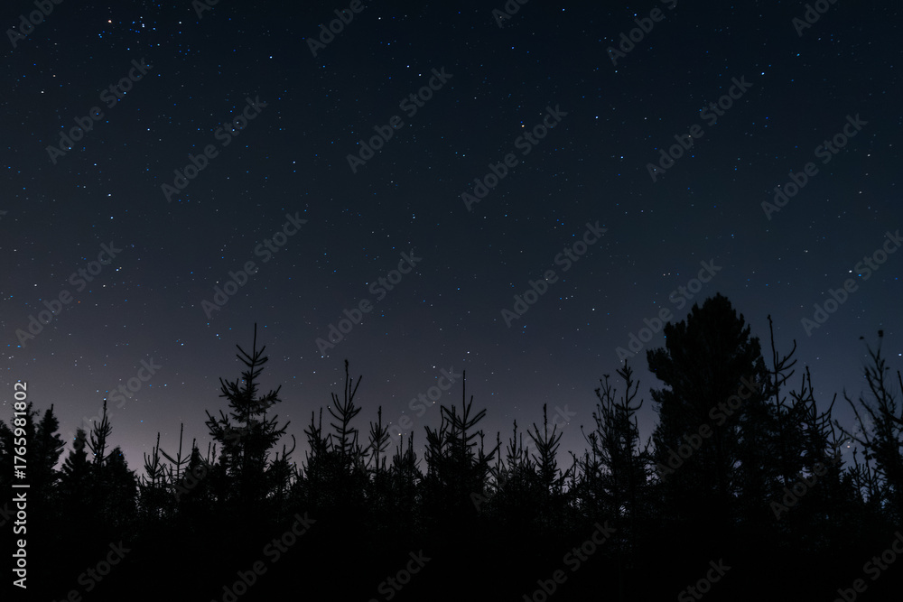 Fototapeta premium Silhouette of pine trees under a starry night sky with a faint orange glow on the horizon, capturing the calm beauty of nature after sunset.