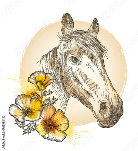 Hand-drawn graphic sketch of horse portrait in beige and orange flowers isolated on white background. 
