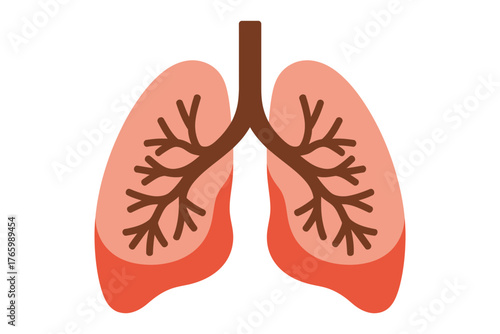 An illustration of the human respiratory system, showing the lungs and bronchioles.