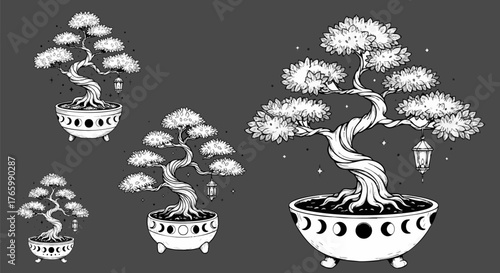 Bonsai trees with moon phases in pots create a serene and mystical atmosphere