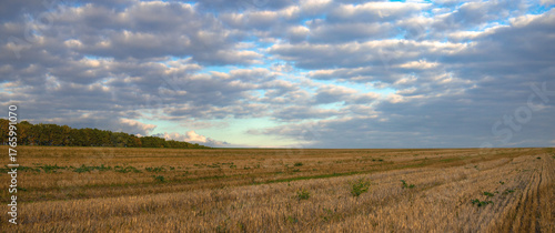 Field, autumn landscape. Endless horizon. Agricultural lands of Ukraine. Panorama.

