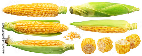 Collection of maize cobs or corn cob pieces isolated on white background. File contains clipping paths.