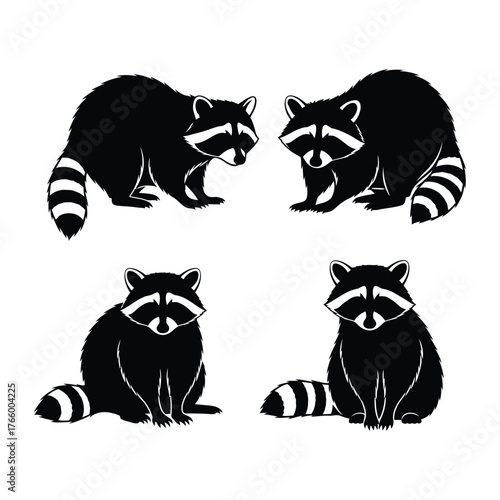 Four stylized black and white raccoons posed in different attitudes for design elements vector
