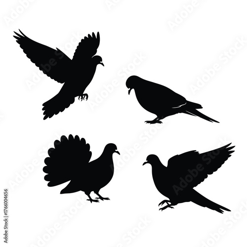Set of four silhouette pigeons in flight and perched various poses dynamic wings detail realistic bird shapes vector