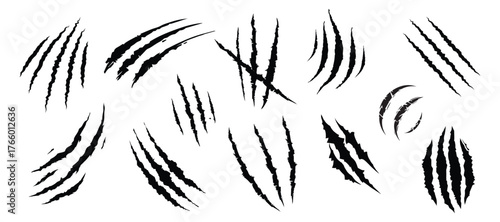 Claw scratch marks set. Animal claws silhouette.